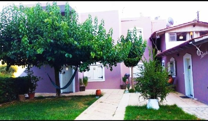 "Villa Kanavos" Apts Matala Exteriör bild